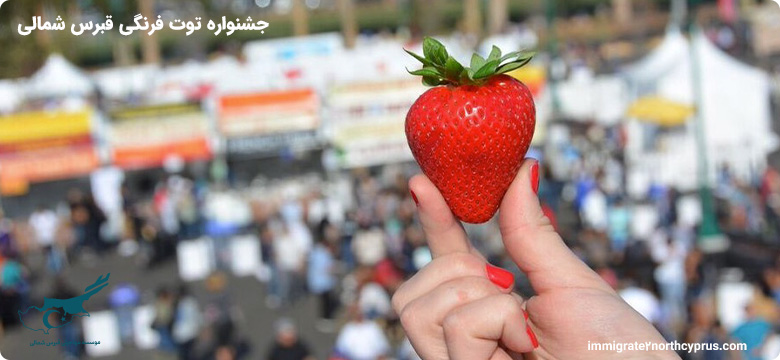 جشنواره توت‌فرنگی قبرس شمالی